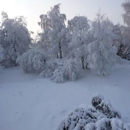 Διαμέρισμα Haus Bergwiese - Fuer Naturfreunde, Familien, Wanderer