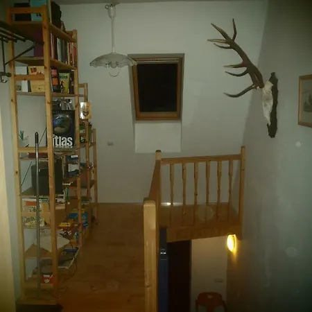 Haus Bergwiese - Fuer Naturfreunde, Familien, Wanderer Διαμέρισμα *
