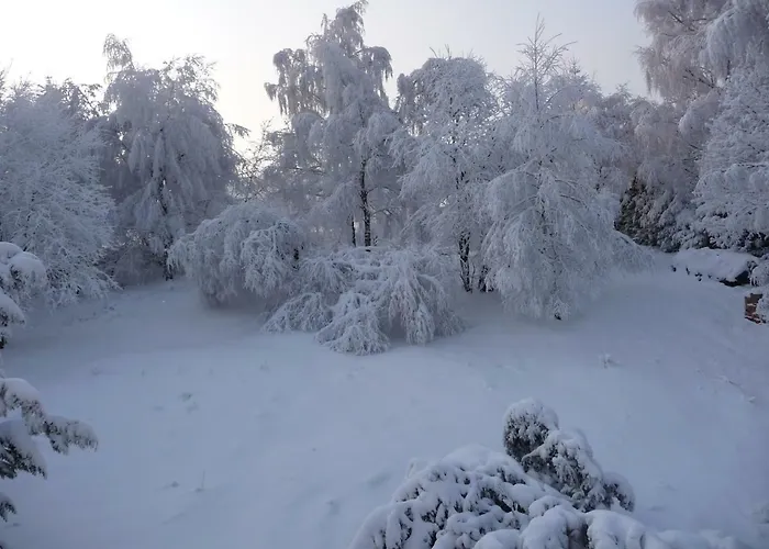 Appartement Haus Bergwiese - Fuer Naturfreunde, Familien, Wanderer